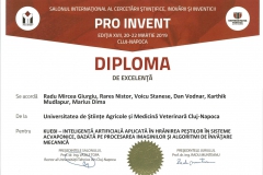 diploma89