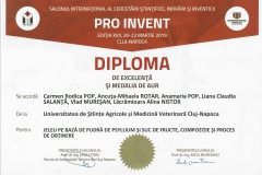 diploma9