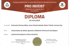 diploma90