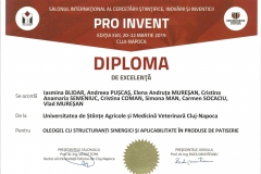 diploma91