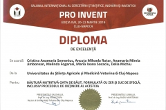 diploma96