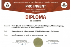 diploma97