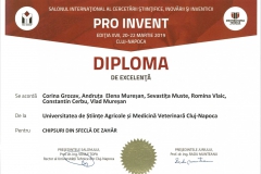 diploma98