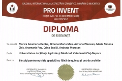 PRO-INVENT-2020-11