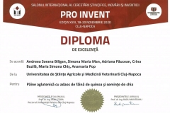 PRO-INVENT-2020-12