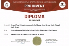PRO-INVENT-2020-14