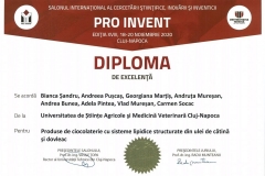 PRO-INVENT-2020-18