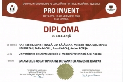 PRO-INVENT-2020-20