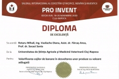 PRO-INVENT-2020-23