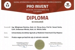 PRO-INVENT-2020-25