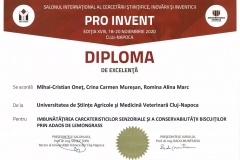 PRO-INVENT-2020-27
