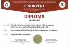 PRO-INVENT-2020-32