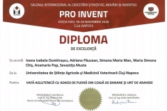 PRO-INVENT-2020-34