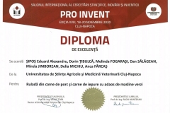 PRO-INVENT-2020-36