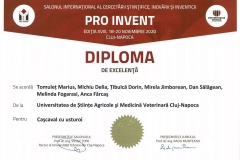 PRO-INVENT-2020-37