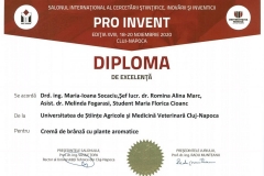 PRO-INVENT-2020-38