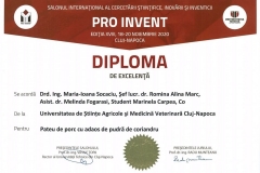 PRO-INVENT-2020-39