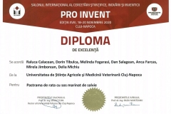 PRO-INVENT-2020-40