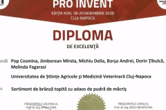 PRO-INVENT-2020-41