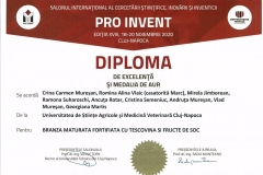 PRO-INVENT-2020001-11