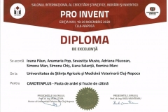 PRO-INVENT-2020001-15