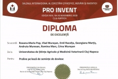 PRO-INVENT-2020001-17