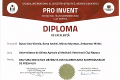 PRO-INVENT-2020001-2