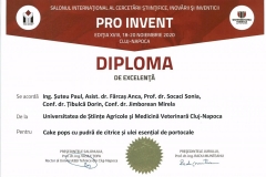 PRO-INVENT-2020001-20