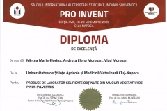 PRO-INVENT-2020001-21