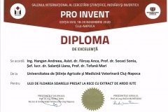 PRO-INVENT-2020001-22