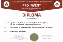 PRO-INVENT-2020001-25