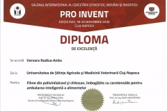 PRO-INVENT-2020001-28