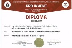 PRO-INVENT-2020001-30