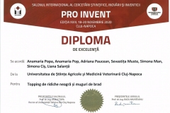 PRO-INVENT-2020001-31