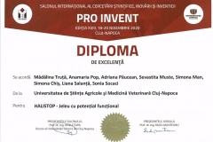 PRO-INVENT-2020001-32