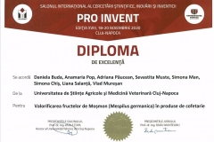 PRO-INVENT-2020001-33