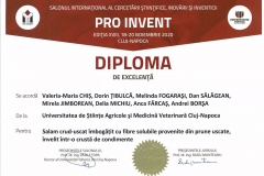 PRO-INVENT-2020001-4