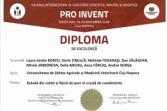 PRO-INVENT-2020001-6