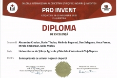 PRO-INVENT-2020001-8
