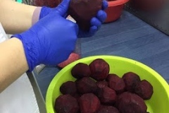 suc-sfecla-1